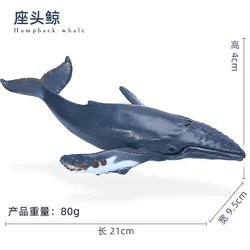 Marine Animal Action Figurines Set - Dolphins, Sharks, Crabs, and Killer Whales (Mini Figures 5)