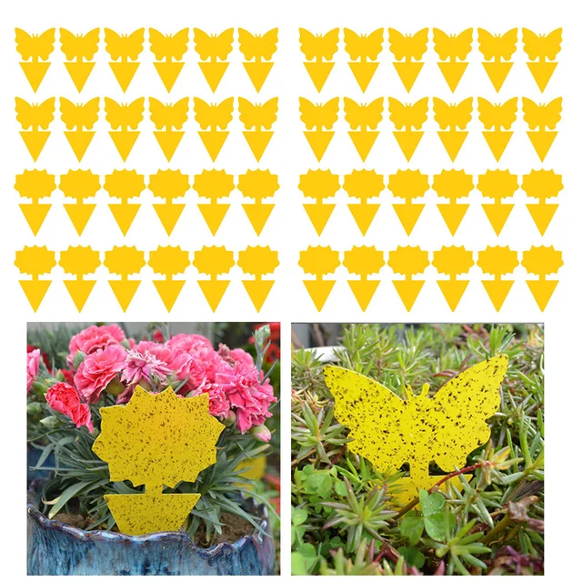 12/48Db Ragadós Csapdák Gyümölcsllyal Gnat Csapda Rovar Beltéri Kültéri Virág Edény Kártevőirtó Kert Erős Ragasztó Növény