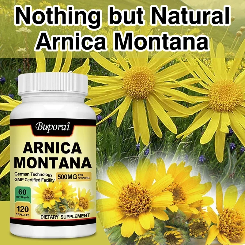 Natural Arnica Extract Capsules