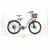 Stylish Women's 26" Electric Bike with Basket & Cup Holder photo review