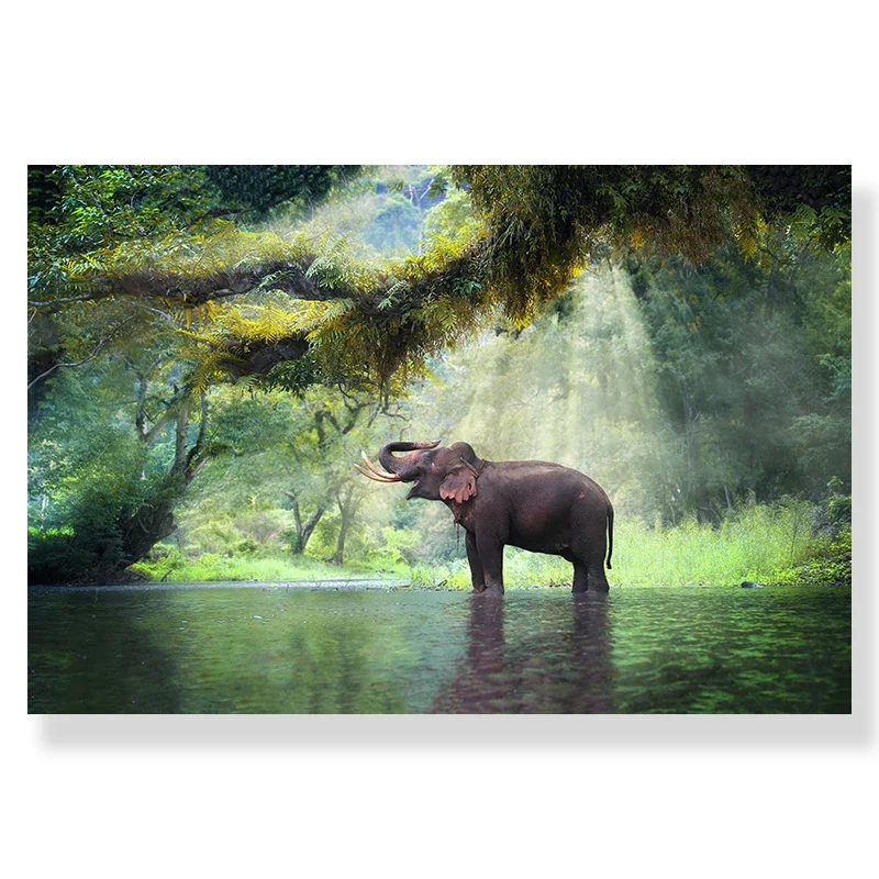 50x70cm Unframed