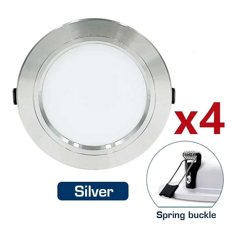 Silver Spring Buckle