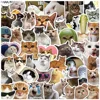 50Pcs Kawaii Funny Cat Stickers Pack Waterproof Laptop Phone Scrapbooking Motorcycle Car Korean Decal Sticker for Kids Toys 1