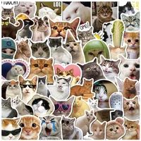 50Pcs Kawaii Funny Cat Stickers Pack Waterproof Laptop Phone Scrapbooking Motorcycle Car Korean Decal Sticker for Kids Toys 1