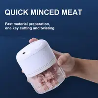 250mL Mini Electric Garlic Masher Chopper Cutter Ginger Masher Machine for Kitchen Food Crusher Chili Vegetable USB Charging 1