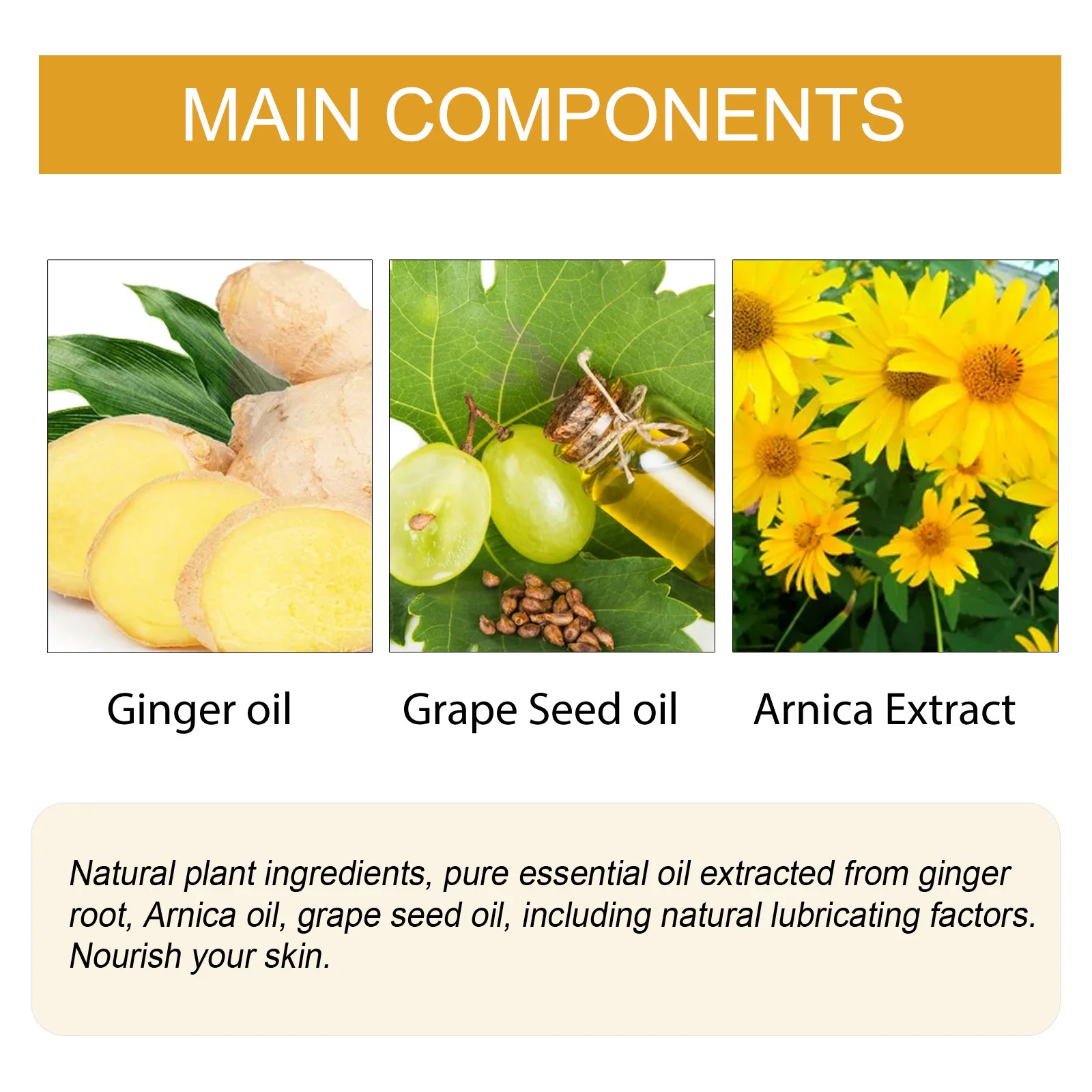 Ingwer-ätherisches Öl Zur Lymphdrainage Und Körpermassage_voghion.com