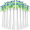 Replacement Toothbrush Heads with Covers for 7am2m AM101/AM105 Electric Toothbrush,10 Pack 2