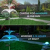 Solar Garden Lights Solar Outdoor Lights Waterproof 7 Color Changing Double Jellyfish and Star Solar Flower Lights for Yard 6