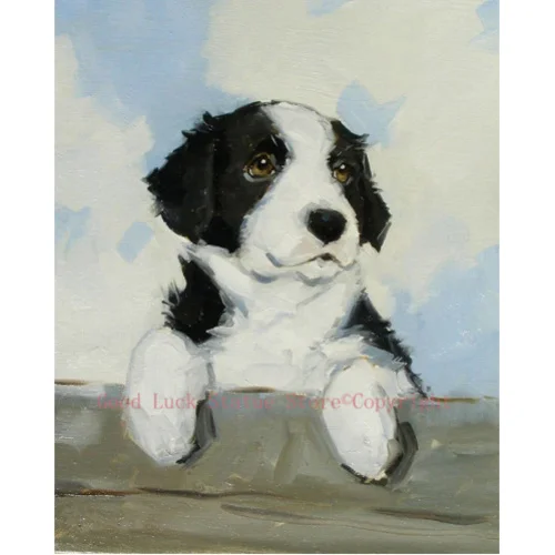 

portrait of a border collie puppy / dog ORIGINAL art -TOP art oil painting--24 inch painting # TOP animal HOME art ON CANVAS