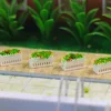 GY39 12pcs N TT  OO O Scale Model Rectangle Flowerbed Park Garden Border 3