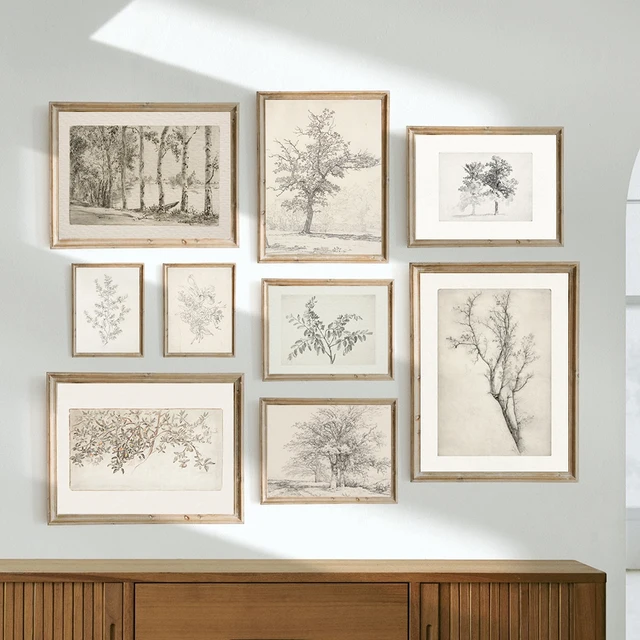 Vintage Birch Tree Sketch Art Prints Antique Botanical Drawing Canvas Poster Rustic Country Farmhouse Wall Painting Home Decor