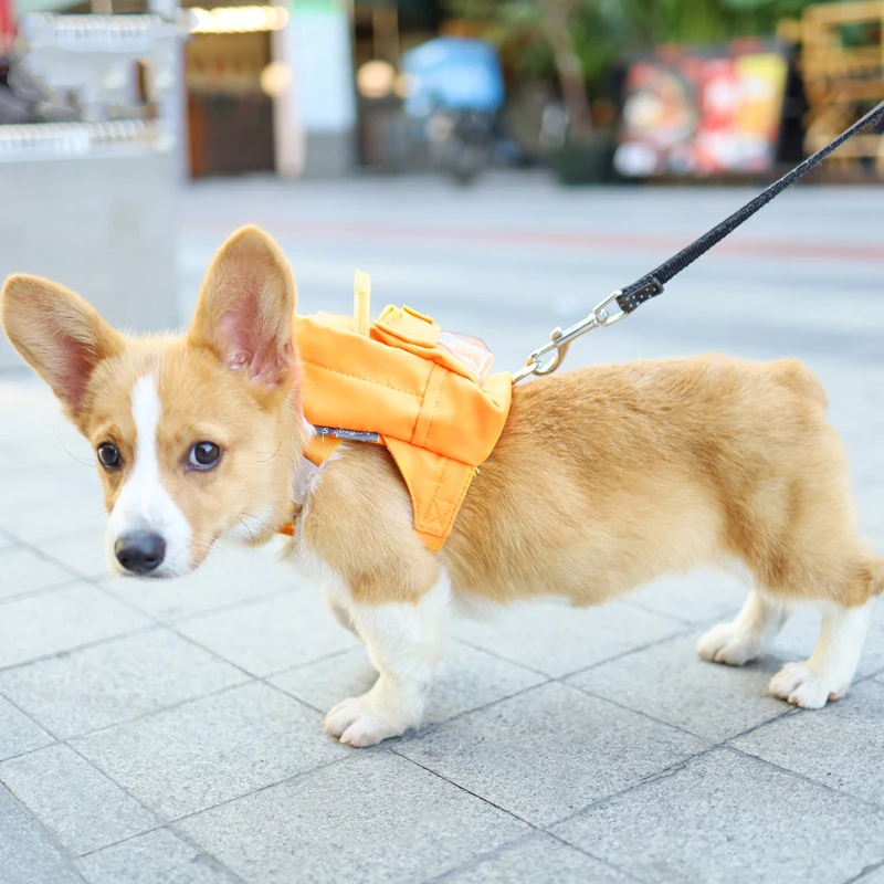 Dog Bag Pet Backpack Cat and Puppy Bag Harness Travel School Portable Carrier Pet Supplies