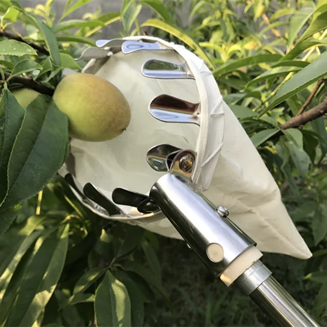 Kerti Fém Gyümölcsválasztó Fej Kényelmes Gyümölcsös Kertészkedés Apple Őszibarack Magas Fa Szedő Fogó Gyümölcsszedő Szerszámkészletek