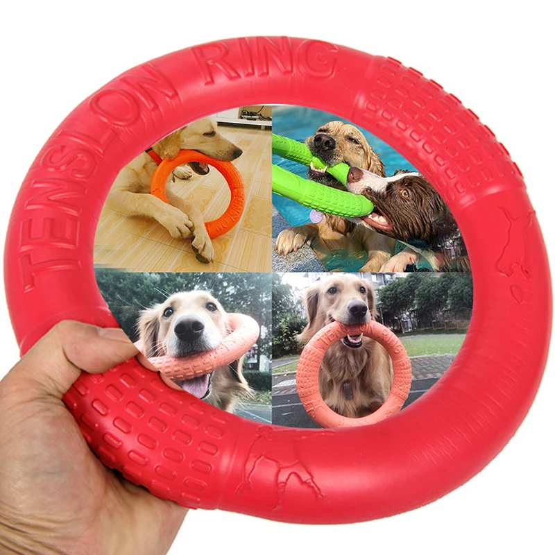 kong big dog