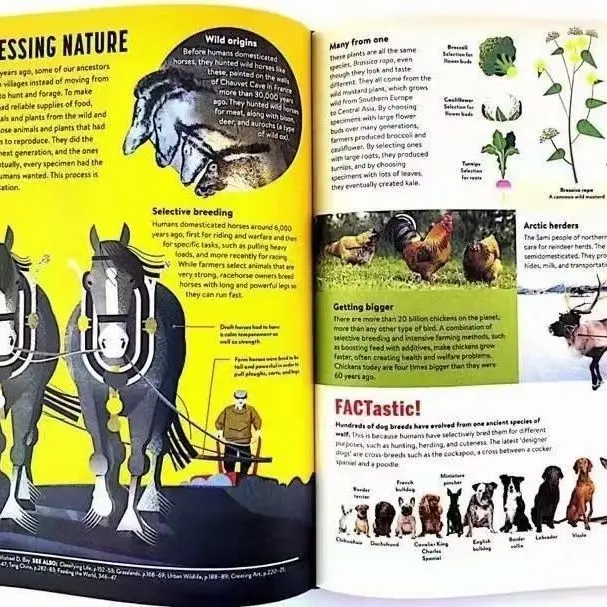 Britannica Children’s Encyclopedia 4