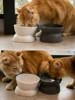 1Pc Pet bowl, water and food feeder, for cat and small dog 3