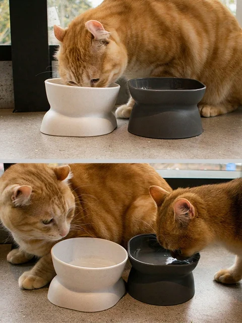 1Pc Pet bowl, water and food feeder, for cat and small dog 3
