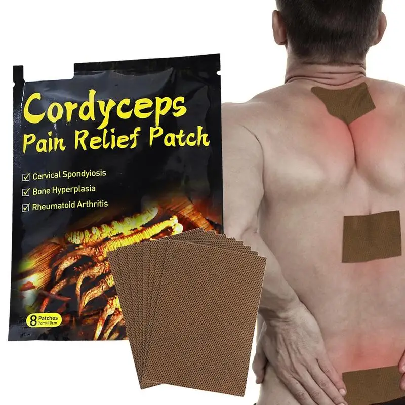 

Plaster for Muscle Joint Ache Discomfort Relief Cordyceps Knee Patches 8pcs Relieving Paste Natural Herbal Muscle Joint Patch