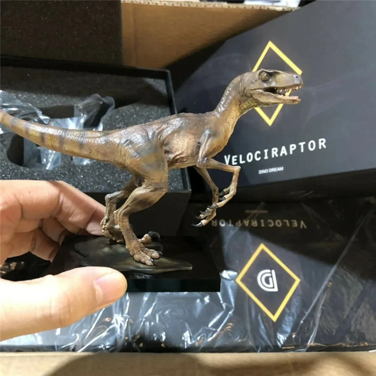 DINO DREAM ティラノサウルス & ヴェロキラプトル セット像カラフルな