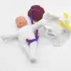 Female Pelvis Model Childbirth Model for Science Education Teaching Study 3