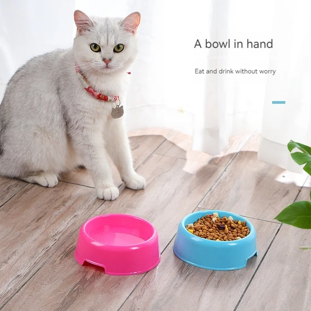 Pet Dog Cat Bow lRound Water Food Feeder Feeding Drinking Round Bowl for Dogs Cats Kitten Puppy Small Animal Pet Accessories