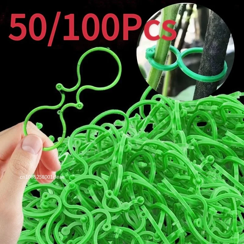 50/100Pcs Buckle Vine Tying Clips Ring Fixing Bracket Garden Plant Holder Tools Garden Decorations Plant Climbing Wall Clips