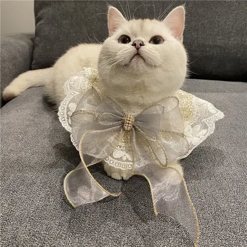 레이스 개 고양이 네커치프 칼라 빈티지 스카프, 나비 매듭 벨 포함, 애완 동물 턱받이 개 목걸이 넥타이, 고귀한 개 웨딩 액세서리 2
