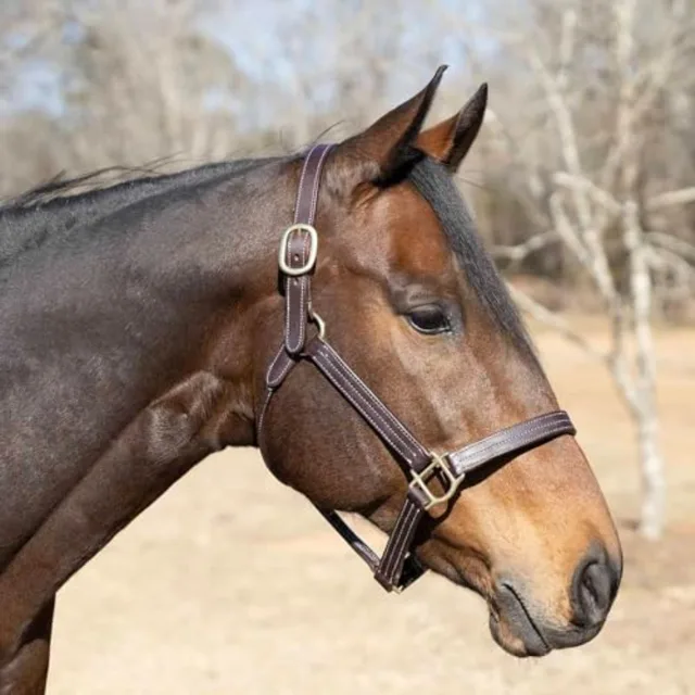 Horse turnout halter for outdoor use soft leather material black color triple-stitched durability and throat snap with adjustab