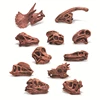 Dinosaur Toy Simulation Animal Skull Plastic Fossil Teaching Dinosaurs Skeleton Model for Collectors Craft Gifts Home Decor Toys 4