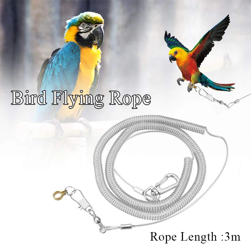 Flying Rope Lock Bird Flying Rope | That's So Fetch!