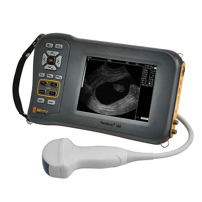 Ecografo Portatil Veterinary Ultrasound Dw-Vet6 Veterinary Animal Ultrasound Machine Farmscan L60