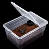 Y51B Portable Terrarium Habitat with Breathable Holes Mini Pet Houses for Spider for Frog Cricket for Turtle S 4