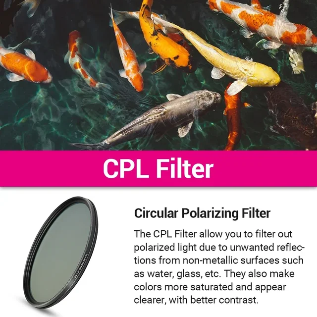 Startseite des Shops Produkte Bewertung