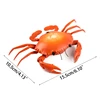 Simulation  Toy  Stunt Toy Tricky Seaside Crawling Glitter Eye Prank Toy 6