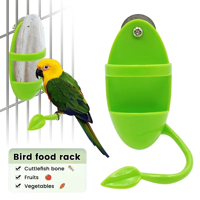 Bird Cuttlebone Holder and Feeder 5