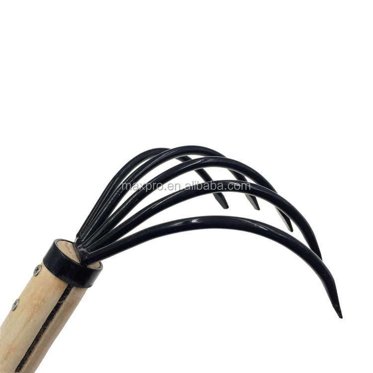 일본 닌자 발톱, 정원 갈퀴, 작은 5 가지 나무