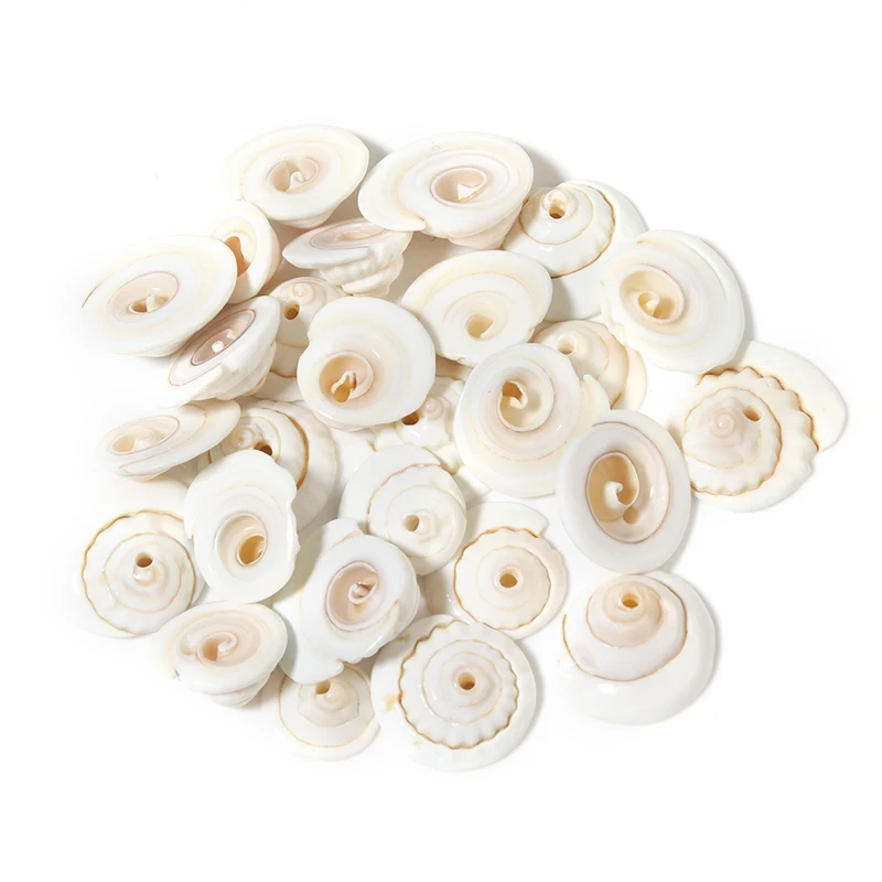 SUPERFINDINGS 413 pz 7 Stili Mini Conchiglie di Mare Bulk Conchiglia Naturale Ciprea Conchiglia A Spirale Set di Ornamenti Senza Fori Artigianali