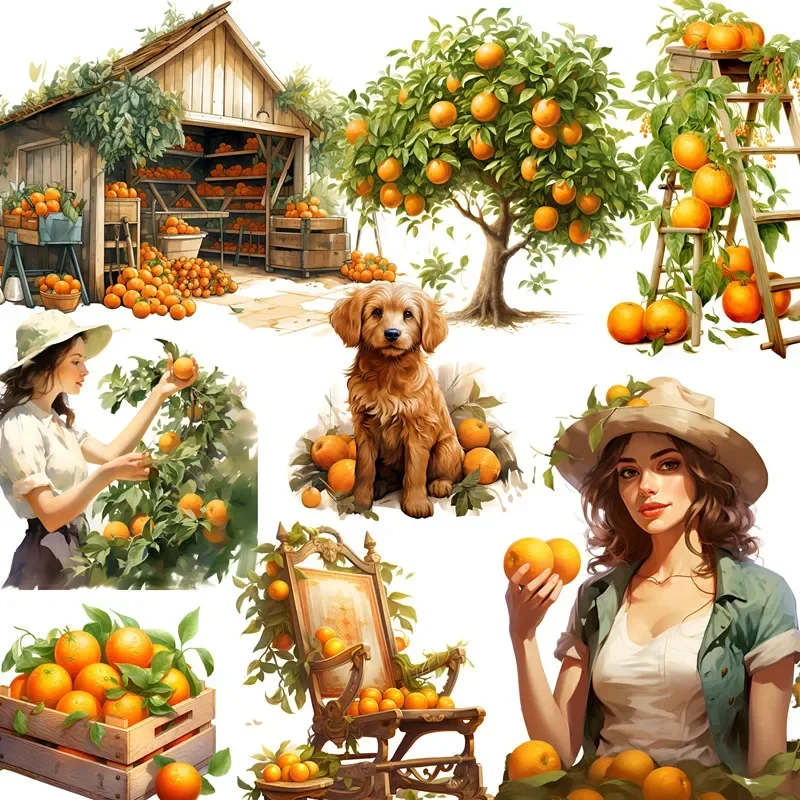 

12Pcs/Pack Orange Orchard Sticker DIY Craft Scrapbooking Album Junk Journal Decorative Stickers