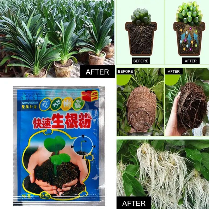 10pcs for Root Growth Seedlings Help Germination Flowering Fast Root Powder Promotes Plant Growth Strong Root System