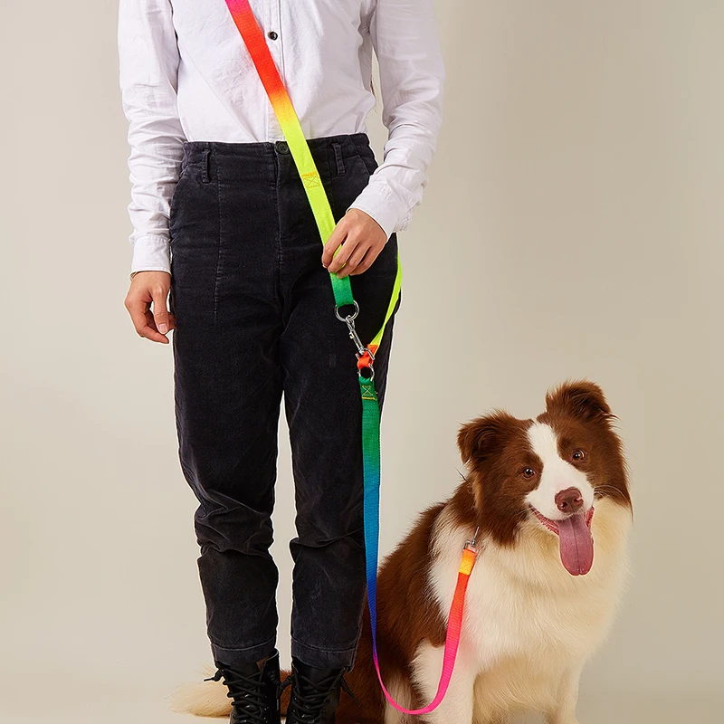 CAWAYI KENNEL 나일론 부드러운 애완견 개 체인 견인 로프는 대형 ..