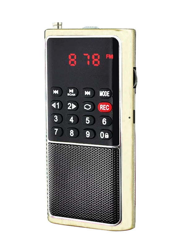 PRUNUS J-328 Radio FM Portatil con grabadora, Radio Portatil Pequeña  Recargable, Mini Radio de Bolsillo con Reproductor de música SD/TF/AUX,  Radio