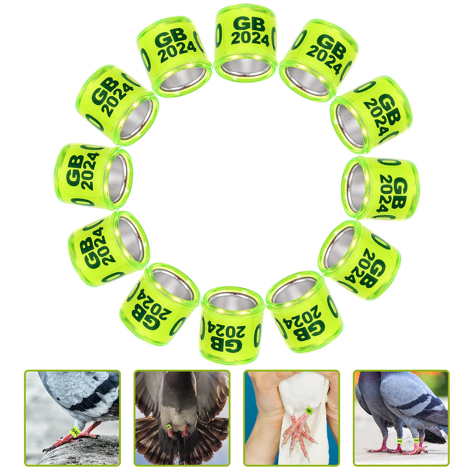 

Pigeon Leg Rings Metal Dove Leg Bands 2024 Year Bird Foot Rings Poultry Identification Rings Birds Lovebirds Chicken Quail