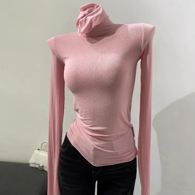 Long Sleeve Turtleneck Top 2