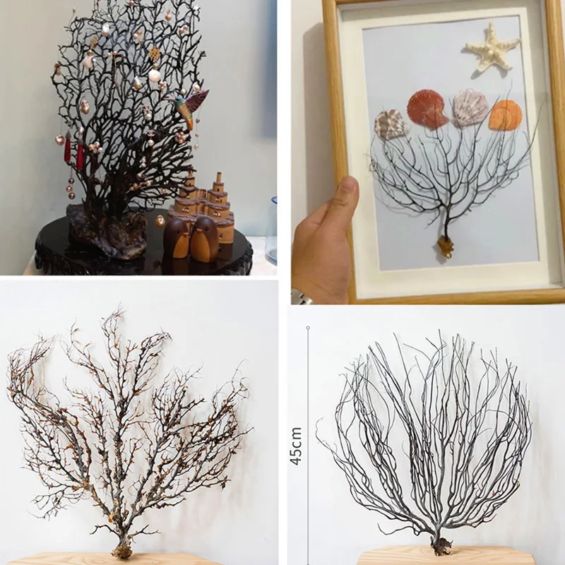 2024 2Pcs Fish Tank Natural Coral Aquario Aquarium Decor Landscape Aquarium Artware Fai Da Te 8/15/25Cm Ornamento Natural Amtipasthes Sp