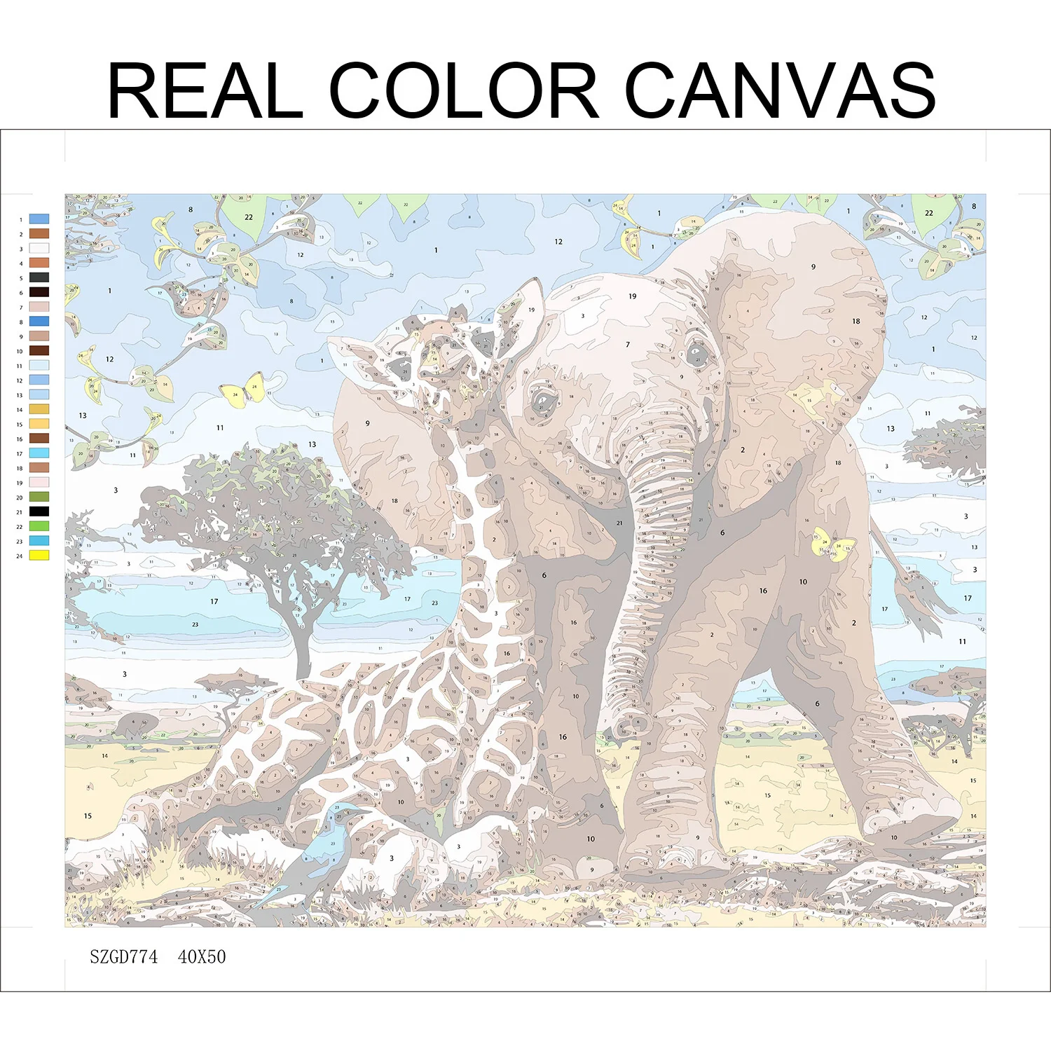 012.jpg_.webp 012.jpg_.webp