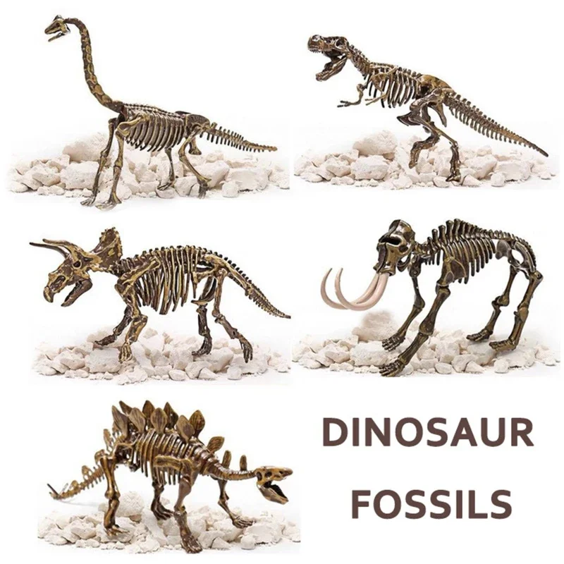 Dinosaur Fossil Excavation Kits Education Archeology Exquisite Jurassic Toy Set Game Action Children Figure Skeleton Model Gift 2