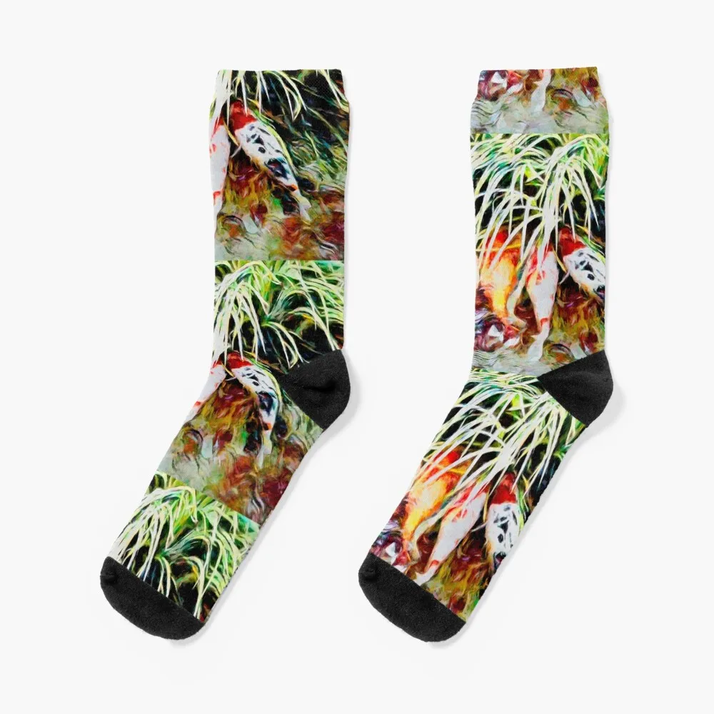 

Koi 27 Socks floral Stockings Socks For Girls Men's