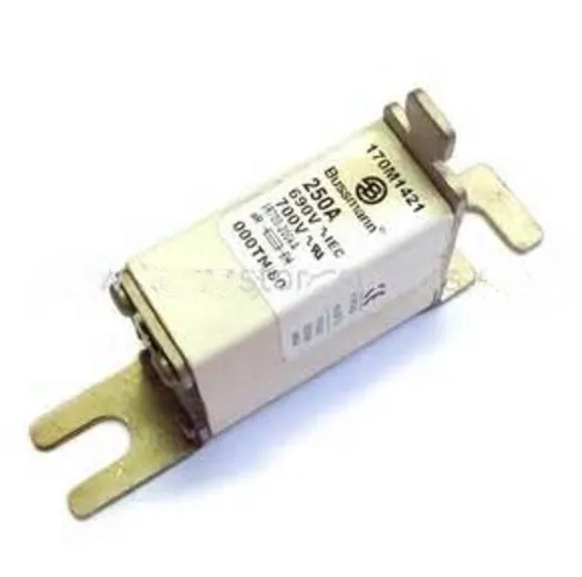 

Bussmann 170M1421 250A 690V aR Fuses