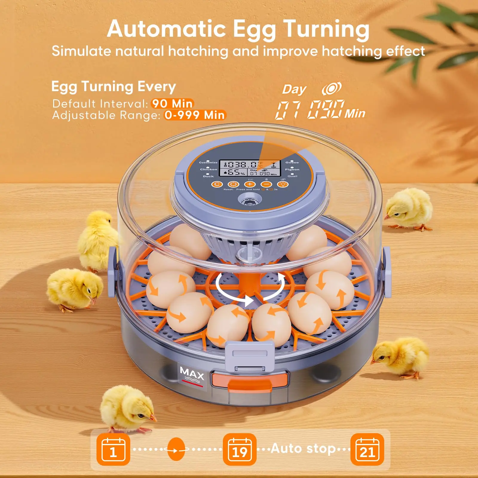Egg Incubator with Automatic Egg Turning and Humidity Control, Intelligent Egg Incubator with Automatic Temp. Adjustment, 12 Egg 6