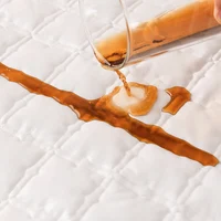 100% Waterproof Cotton Fitted Bed Sheet Anti-mite and Anti-bacterial Mattress Protector Soft Breathable Mattress Cover Washable 3